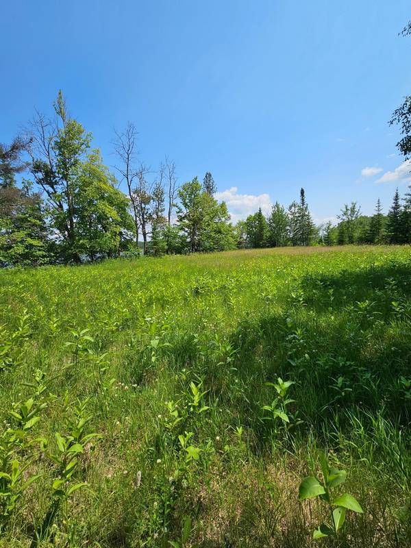 lot6 Hooper Creek Loop, Baudette, MN 56623