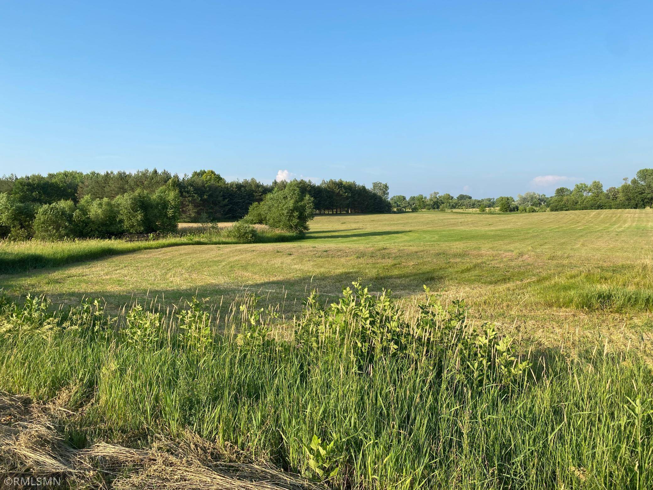 10001 748th Ave,  Dassel Twp,  MN 55325