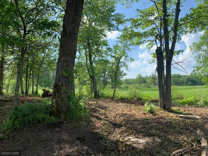 XXXX State Hwy 65, Mcgregor, MN 55760