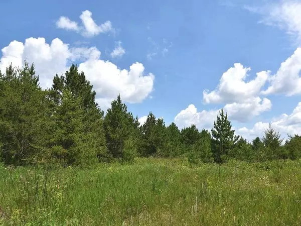 123 Gateway Drive, Akeley, MN 56433