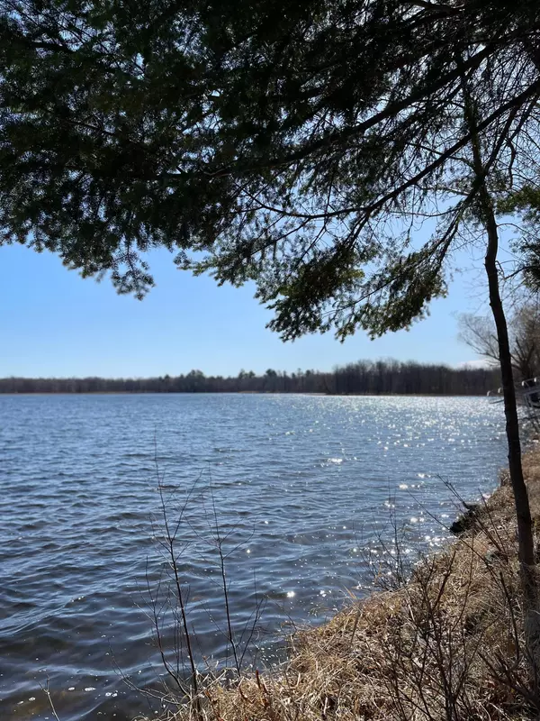 Birch Lake Twp, MN 56452,3450 Lower Larson Lake RD NW