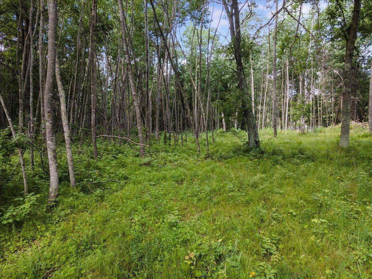 Nisswa, MN 56468,TBD Wild Wings Way