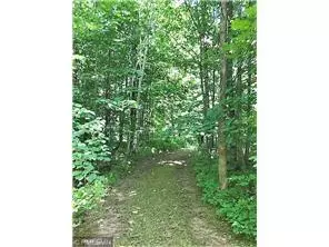 Pine City Twp, MN 55063,15022 Lofty Pines