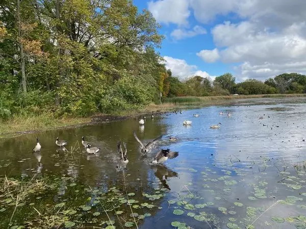 Plymouth, MN 55446,14354 56th AVE N