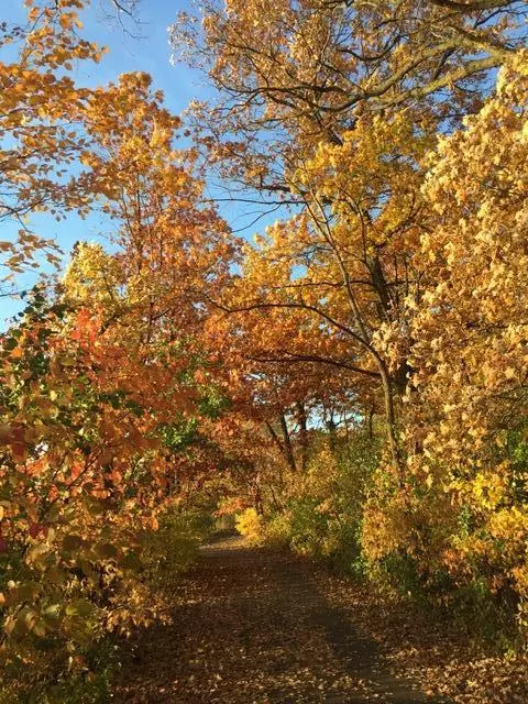 Plymouth, MN 55446,14354 56th AVE N