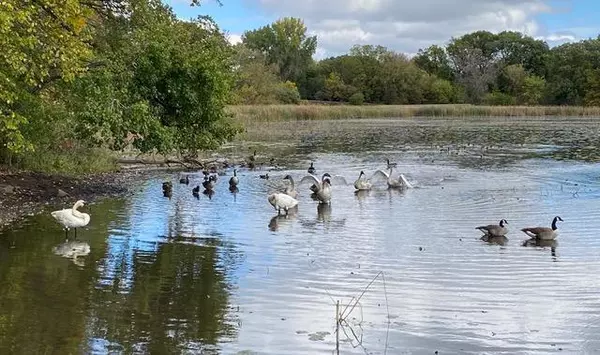 Plymouth, MN 55446,14354 56th AVE N