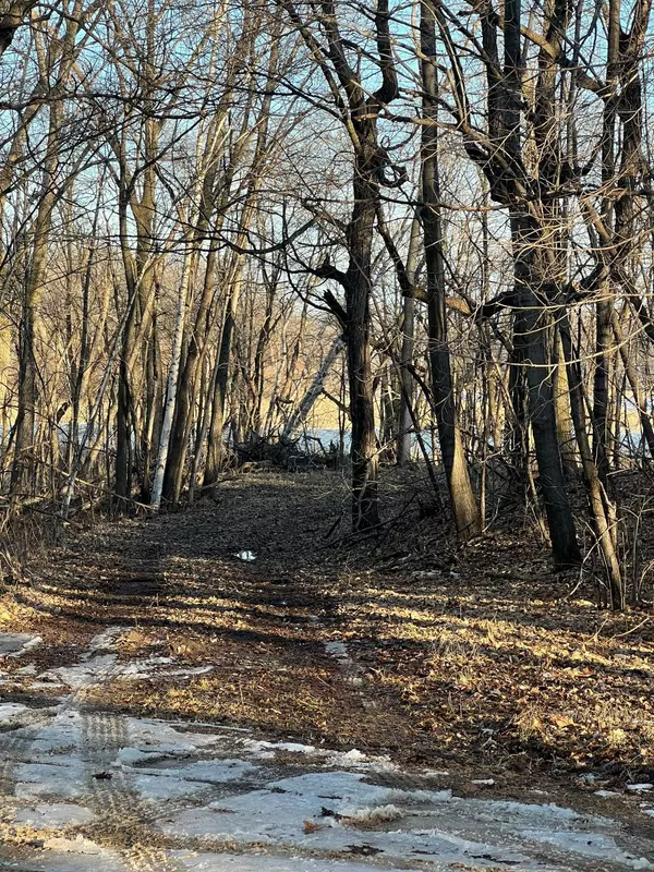 Brandon Twp, MN 56315,9601 Nursery LN NW