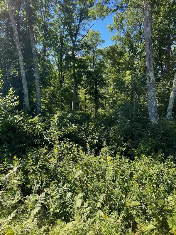 Merrifield, MN 56465,TBD Adney Lake RD