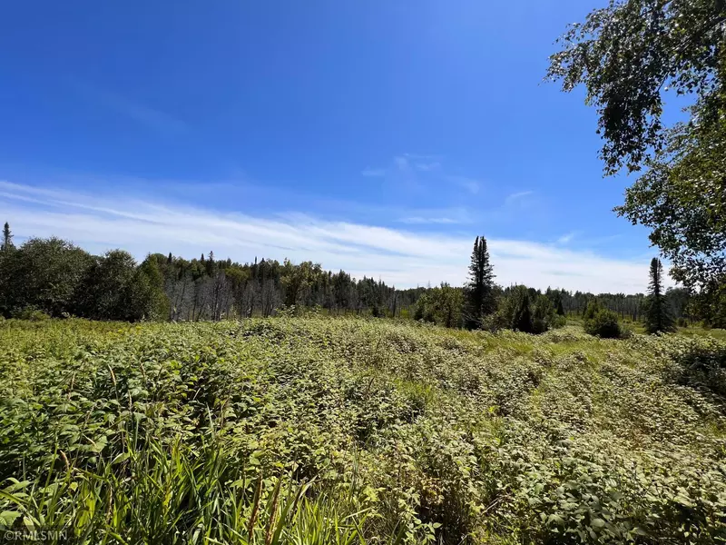 3228 Gods Wilderness RD, Silver Creek Twp, MN 55614