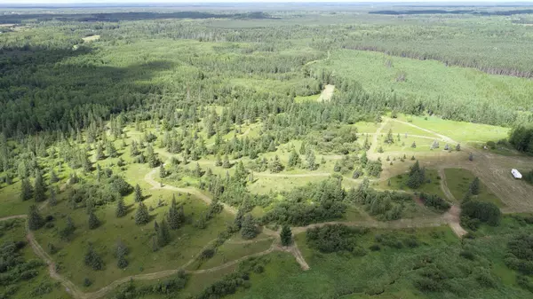 Angora, MN 55703,10501 Heino RD