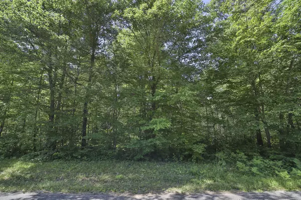 Merrifield, MN 56465,Lot 7 Ridgewood Drive