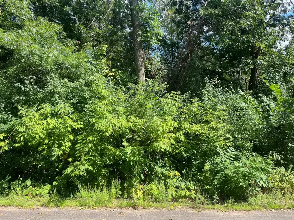 Big Lake, MN 55309,23xxx 182nd ST