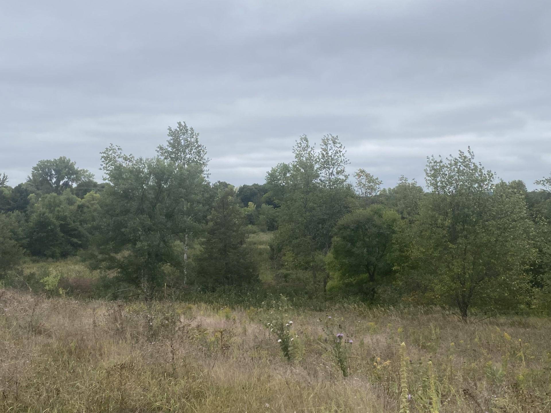 Star Prairie Twp, WI 54017,873 183rd CT