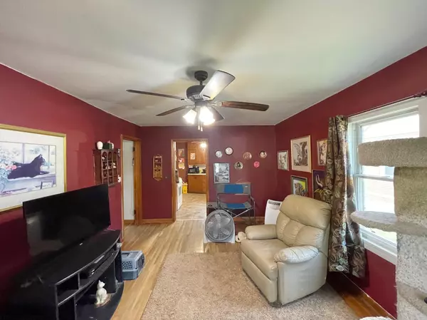 Springfield, MN 56087,405 W Van Dusen ST