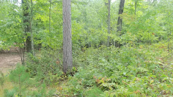 Rusk Twp, WI 54893,Lot 8 Cty Hwy H