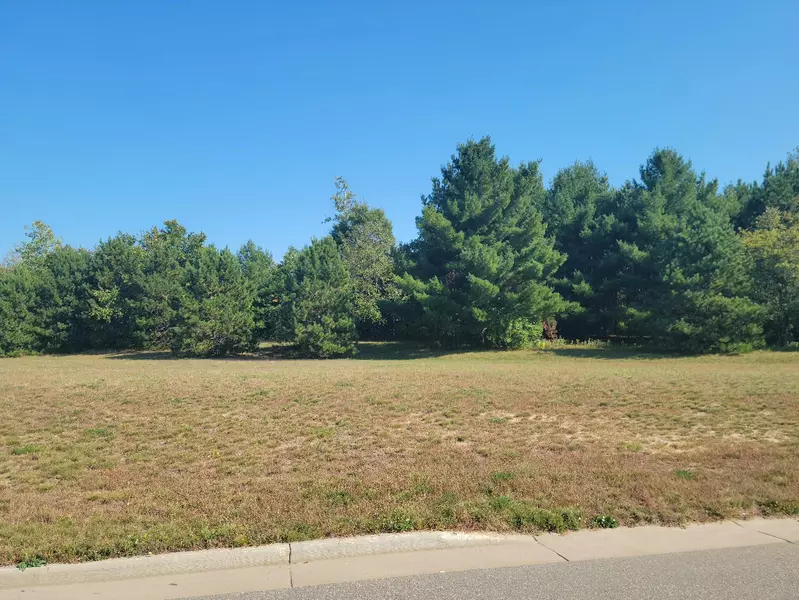 Lot 4 Charlotte St / Range Rd, Boyceville, WI 54725