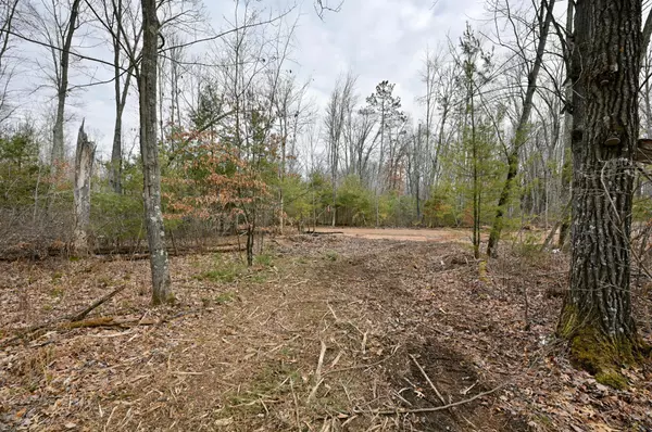 Webster, WI 54893,Lot 6 Maria's WAY