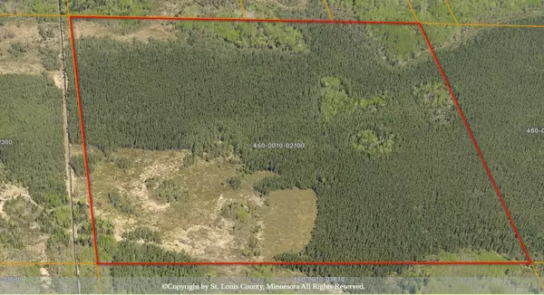 Morcom Twp, MN 55781,TBD Sand Creek Road RD