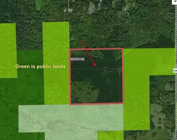 TBD Sand Creek Road RD,  Morcom Twp,  MN 55781