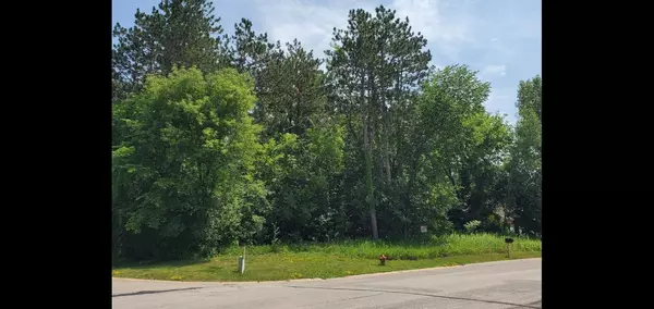 Prescott, WI 54021,550 Hillside DR