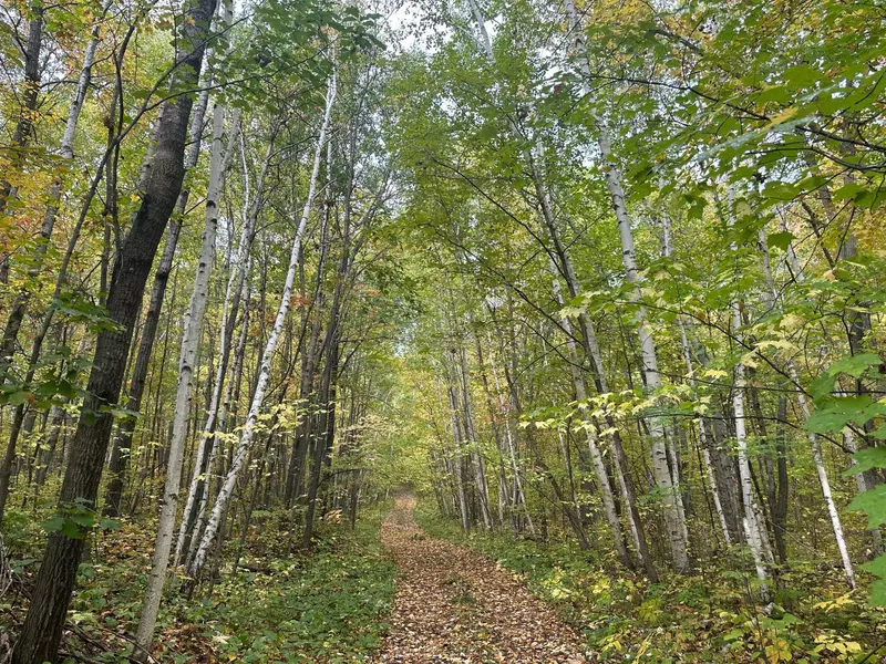 TBD Diamond DR, Randall, MN 56475