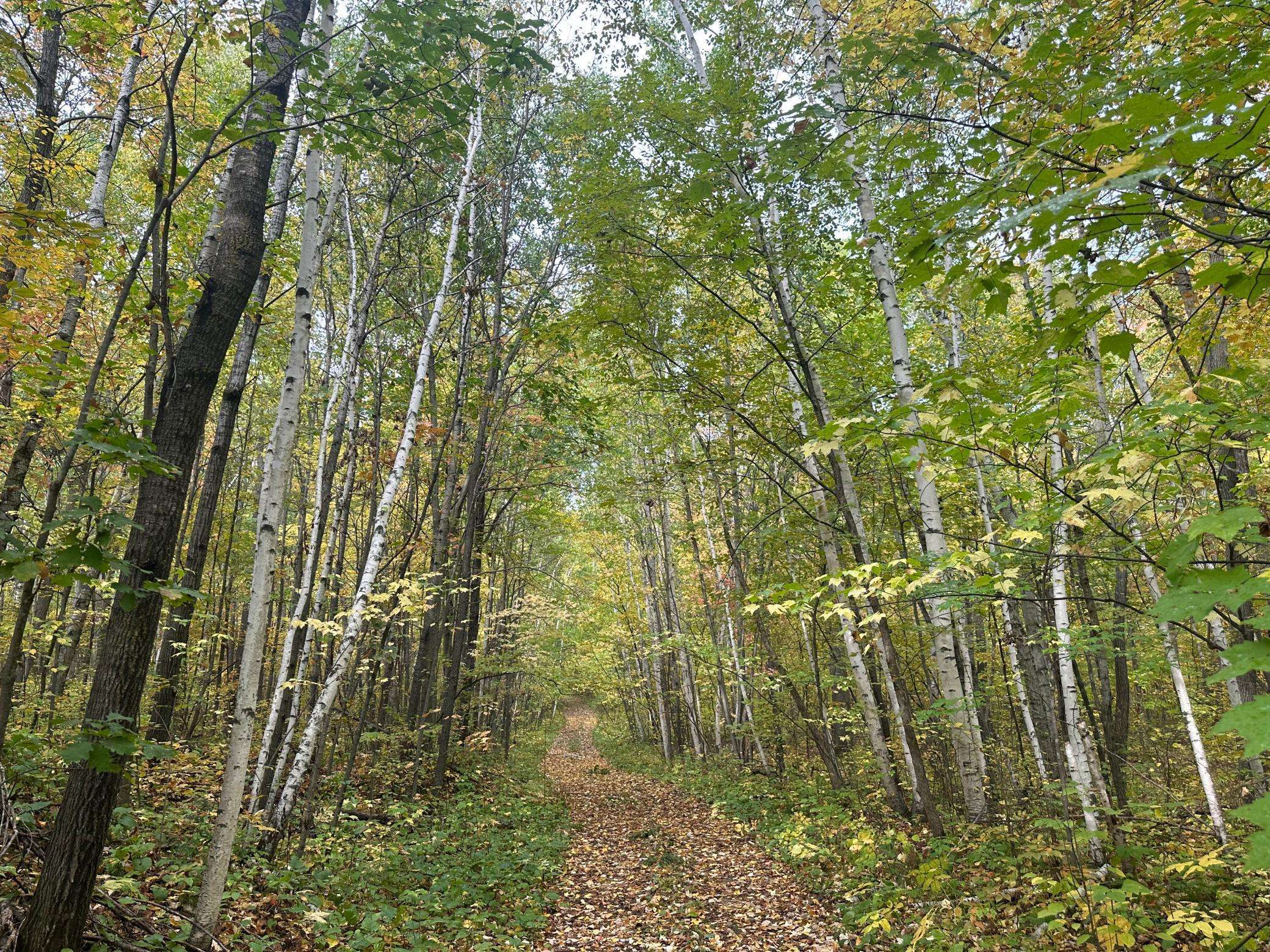 TBD Diamond DR, Randall, MN 56475