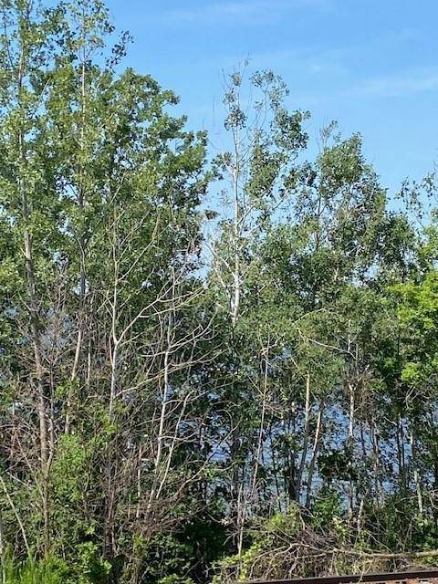 TBD Gemmel AVE SW, Bemidji, MN 56601