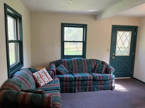 Williams Twp, MN 56350,19196 State Hwy 18