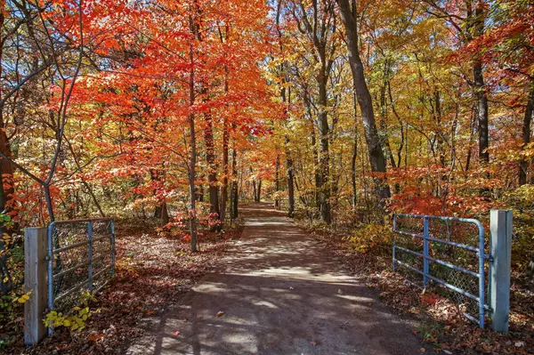 Linwood Twp, MN 55092,22075 Volga ST NE