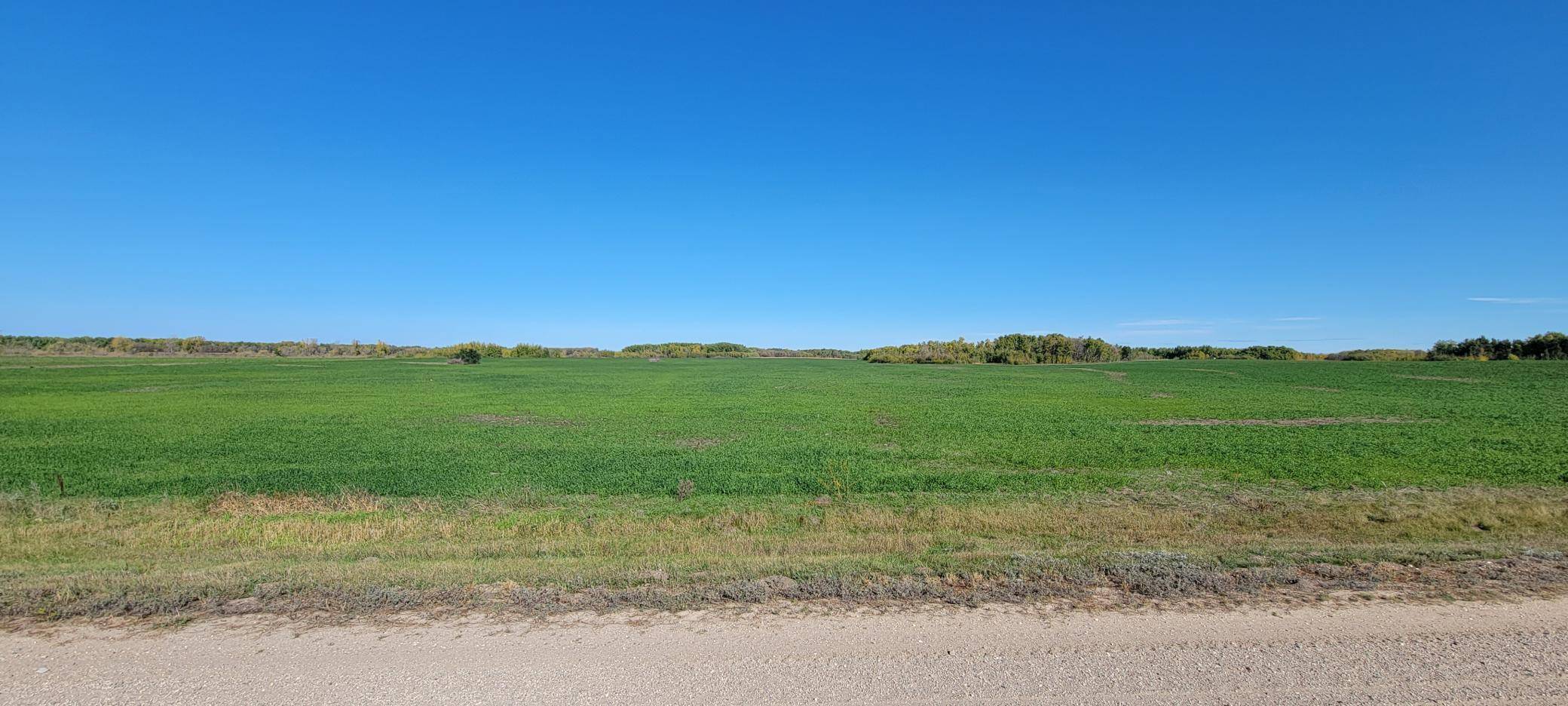 Strandquist, MN 56758,0 .