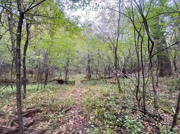 Elk River, MN 55330,xxxx Proctor RD NW