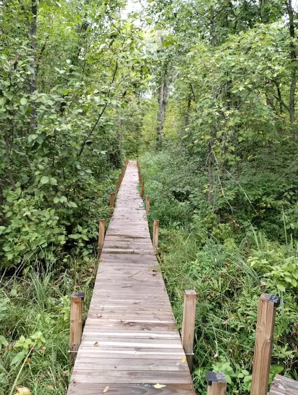 Peace Twp, MN 55007,2263 280th AVE