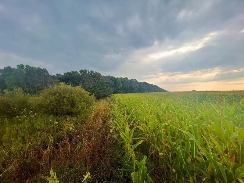 XXX 100th AVE, Brockway Twp, MN 56374