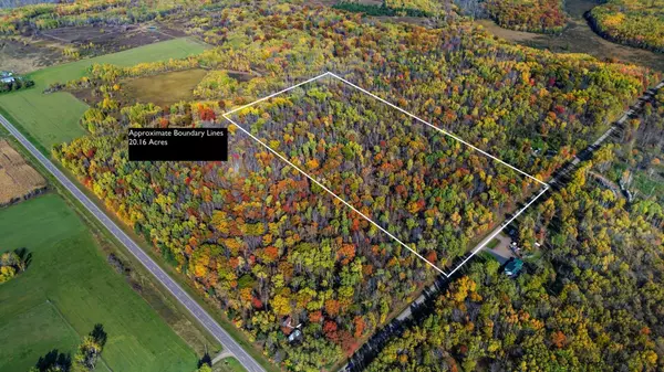 Hayland Twp, MN 56353,TBD-20.16AC 220th ST