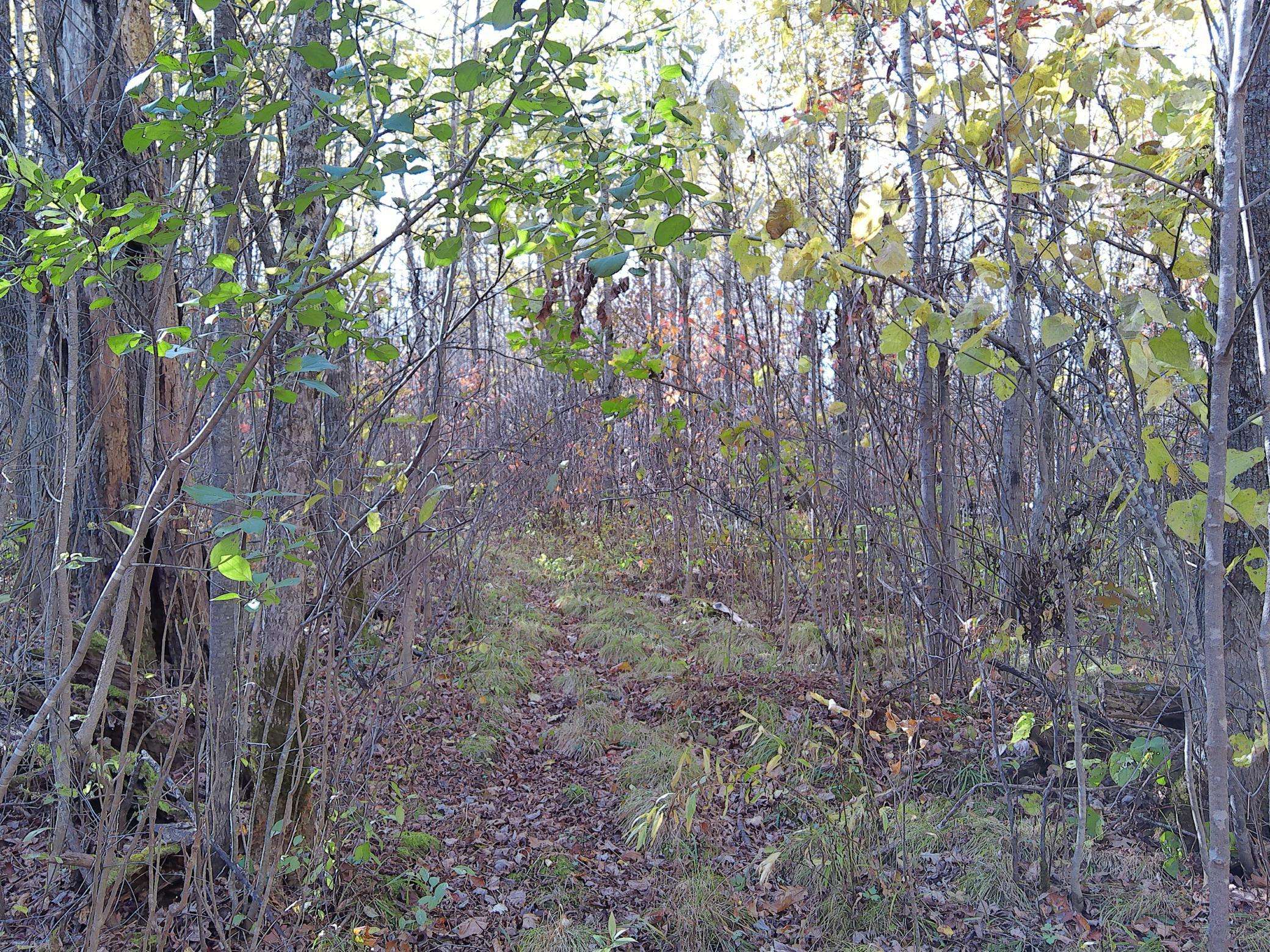 Ogilvie, MN 56358,28XXX 60th AVE