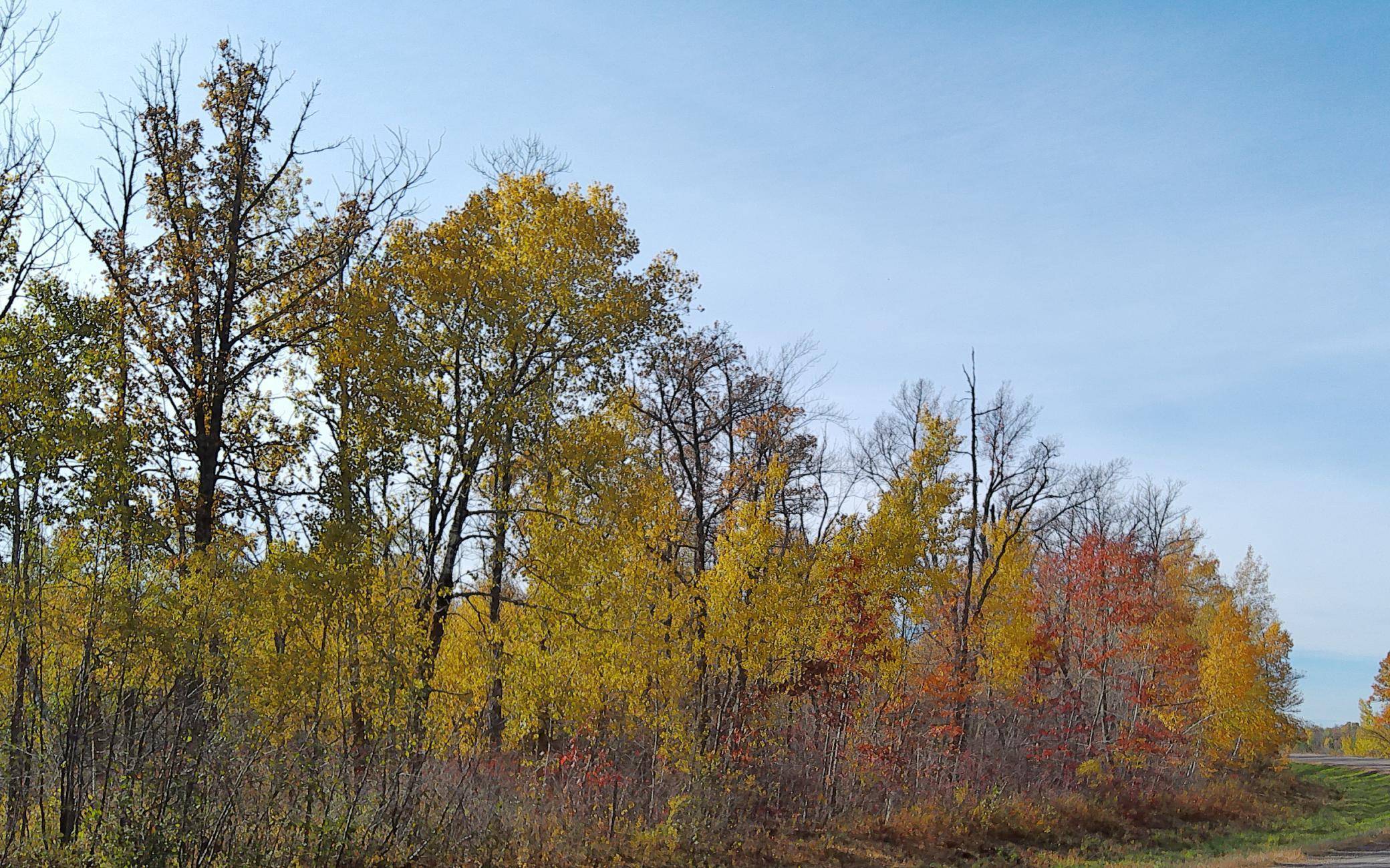 Ogilvie, MN 56358,28XXX 60th AVE