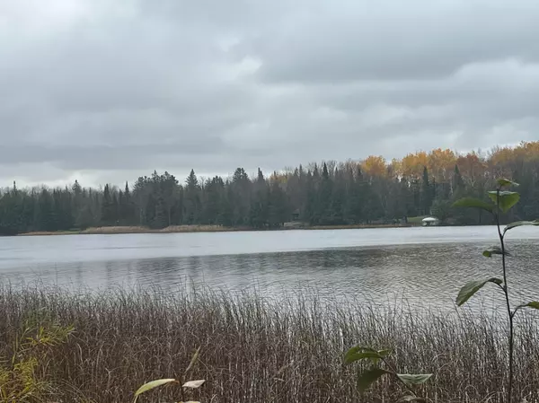 Beulah Twp, MN 56662,7291 W Leavitt RD NE