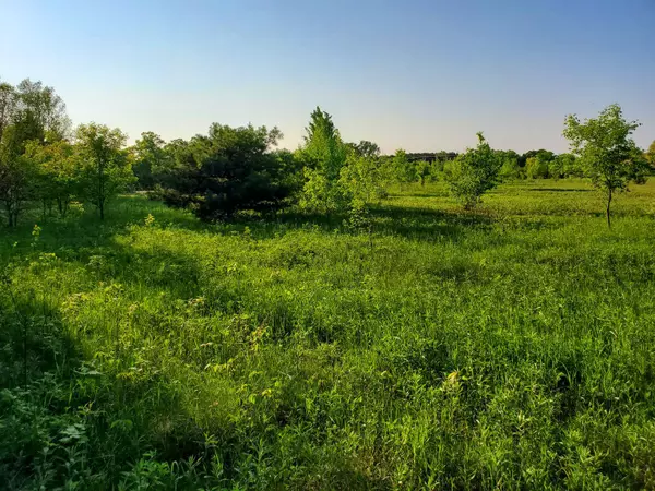 North Branch, MN 55056,39935 Hornsby AVE