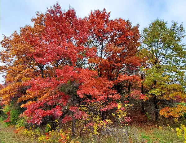 39935 Hornsby AVE, North Branch, MN 55056