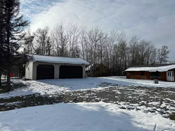 Zipple Twp, MN 56686,4143 Wildwood DR NW