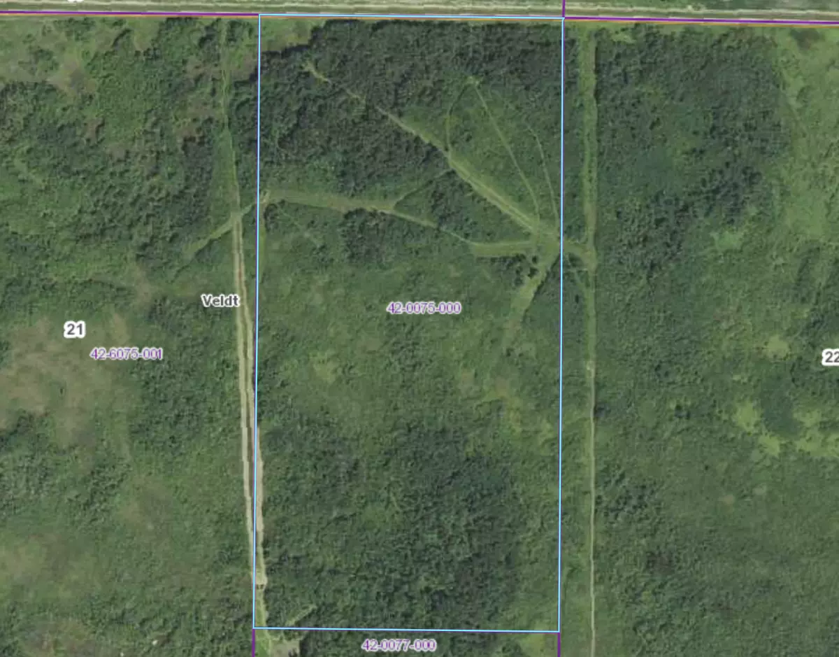 Veldt Twp, MN 56724,TBD 370th street NE