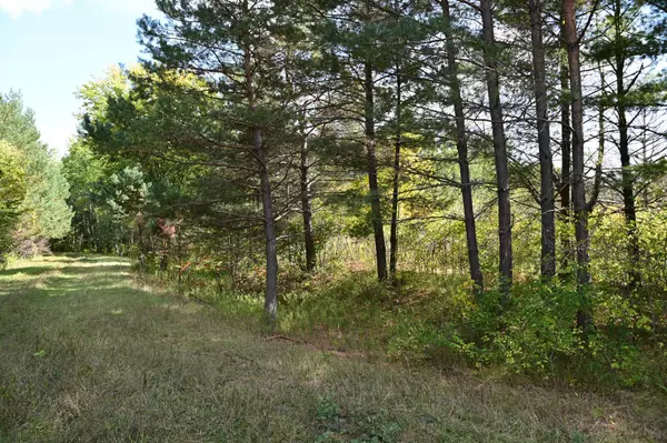 Fawn Lake Twp, MN 56438,xxx Pequot CT