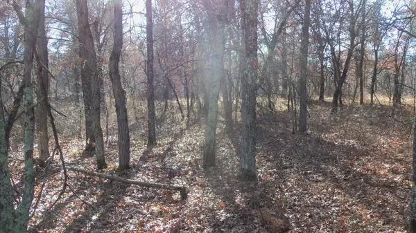 Grantsburg, WI 54840,Lot 2 Riverview Trl