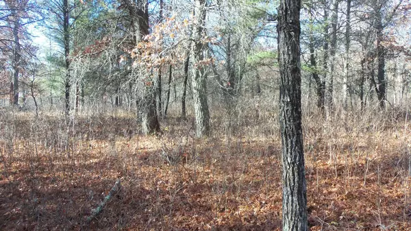 Grantsburg, WI 54840,Lot 2 Riverview Trl