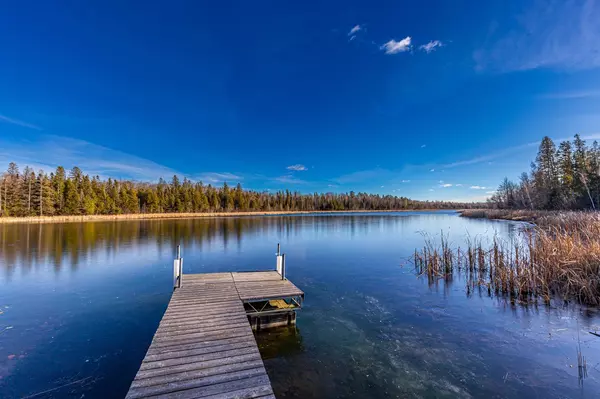 Moose Creek Twp, MN 56621,24498 Daniel Lake LN