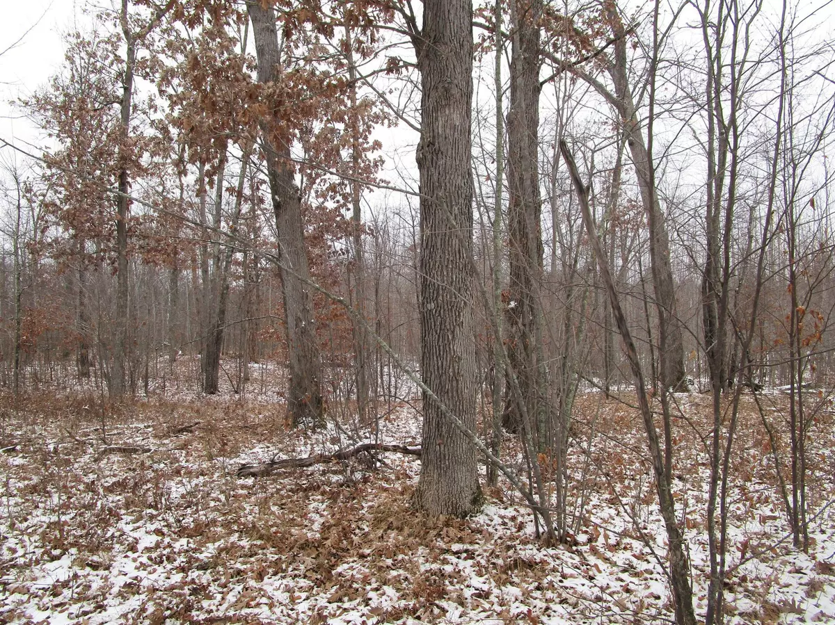 Danbury, WI 54830,Lot 7 Winter Hill TRL