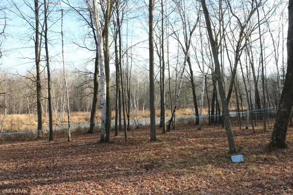 Pine City Twp, MN 55063,14770 Cross Lake