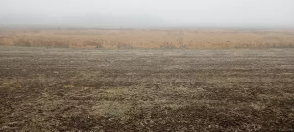 xxx County Road 10, Long Prairie, MN 56347