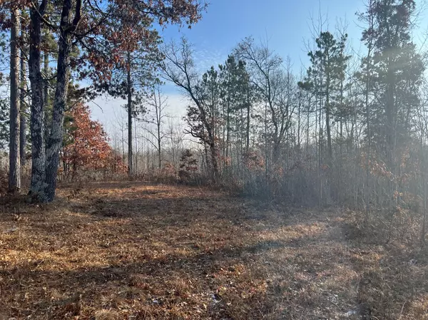 Lot 1 Brancel RD, Chicog Twp, WI 54859