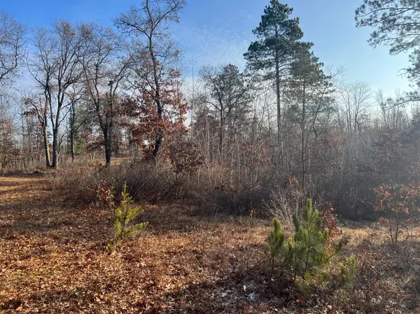 Chicog Twp, WI 54859,Lot 1 Brancel RD